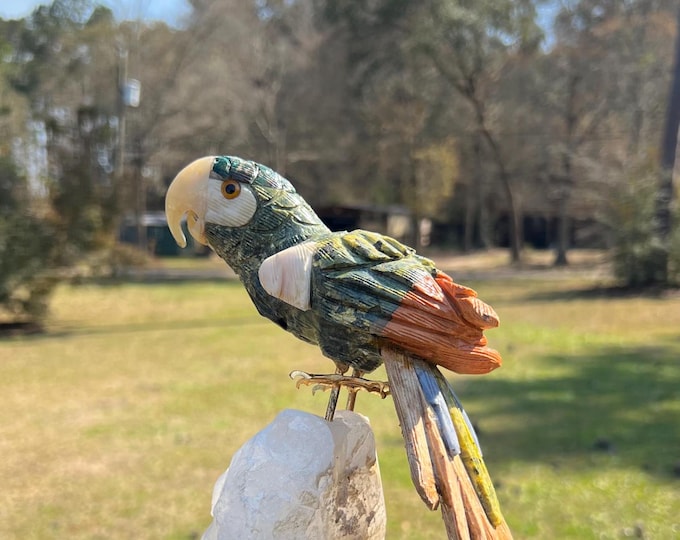 Hand Carved Parrot