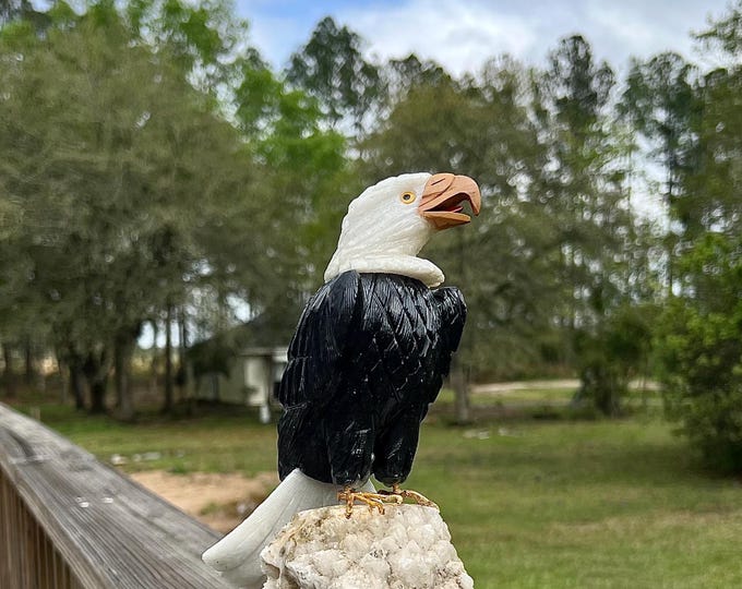 American Bald Eagle Stone Statue Freedom USA