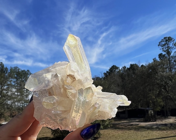 Angel Aura Cluster