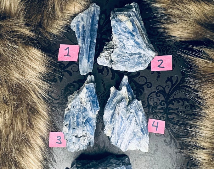 Rare Blue Kyanite Specimen ~ Stone of Truth and Balance