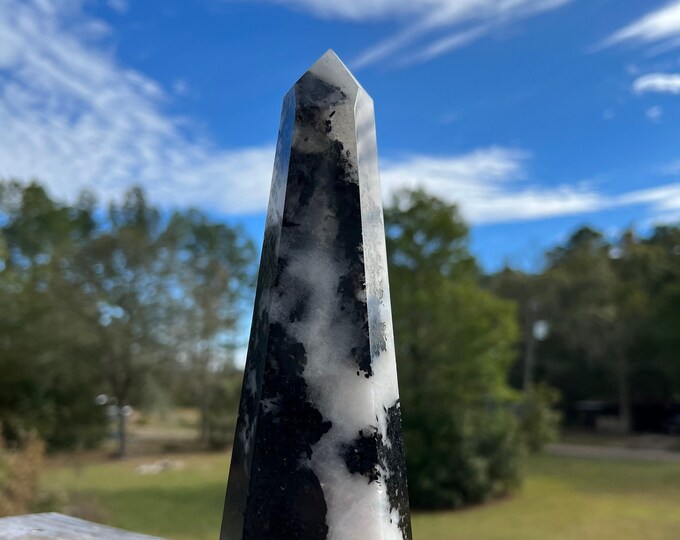 Black Tourmaline Quartz Point