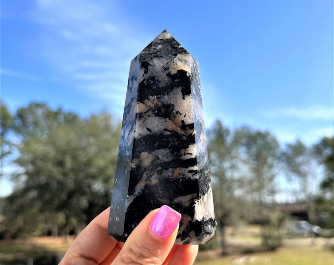 Quartz with Black Tourmaline Tower ~ Black Tourmaline Quartz Point ~ Crystal Generator~ Crystal Tower ~ Healing Crystal~ Home Decor