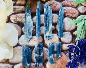 Raw Blue Kyanite Blade: Stone of Truth, Chakra Alignment Crystal
