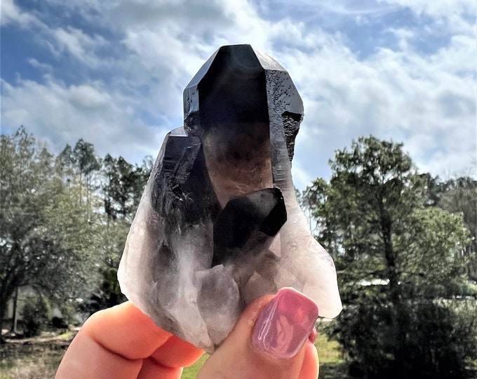 Smokey Quartz  Cluster