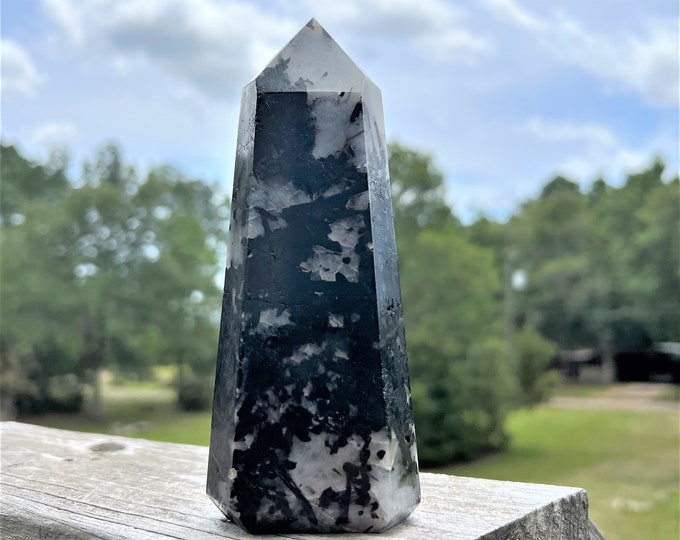 Black Tourmaline Quartz Point ~ Protect from Negative Energy