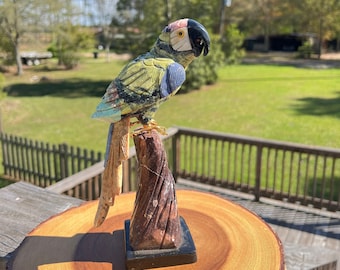 Hand Carved Parrot