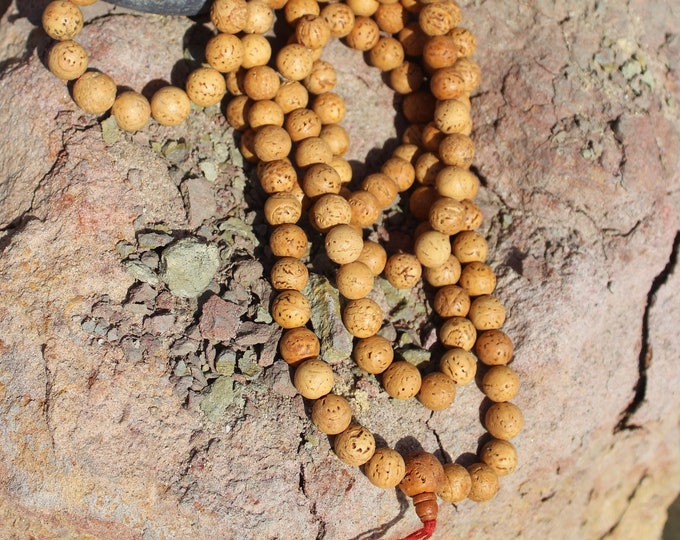 Bodhi Seed 108 Beads Mala ~ Prayer mala