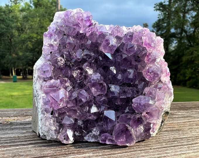 Amethyst Cut Base Cluster ~ Amethyst Cluster ~ Beautiful Amethyst ~ Amethyst Specimen ~ Amethyst Crystal ~ Birthstone Amethyst Specimen