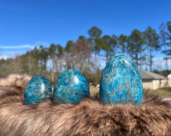 Blue Apatite Free Form Standing ~ Stone Of Manifestation