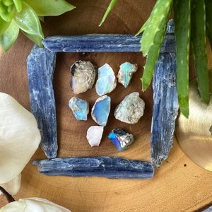 May include: A collection of eight iridescent opal gemstones, ranging in size and shape, displayed on a bed of blue kyanite crystals. The opals exhibit a rainbow of colours, including blue, green, and red.