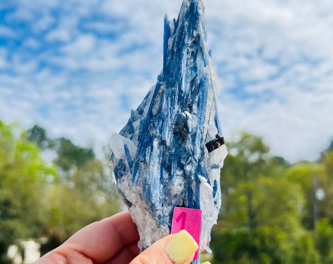 Blue Kyanite Specimen ~ Pick your piece  ~ Stone of Truth and Balance