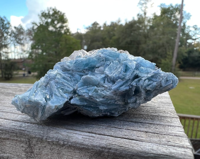 Rare Blue Kyanite Cluster From Paraiba , Brazil ~ Kyanite Chunk ~ Stone of Truth and Balance ~ Raw Blue Kyanite ~ Crystal ~ Rock Collector