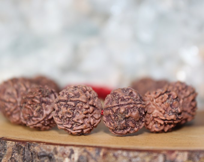 Rudraksha Seed Adjustable Mala Bracelet