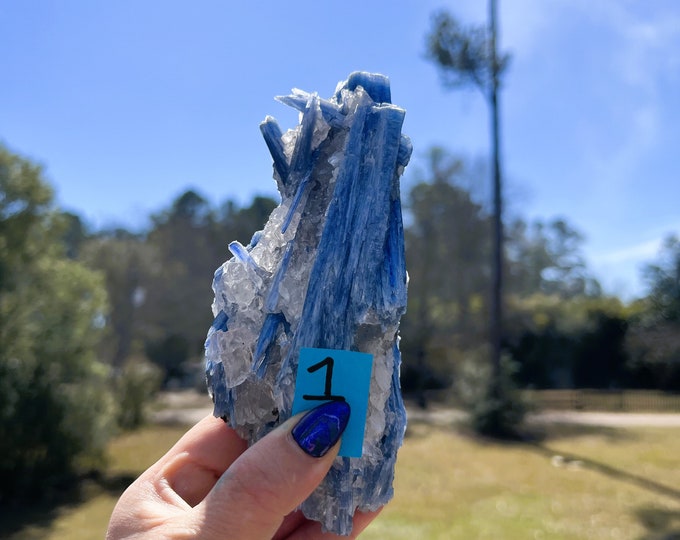Rare Blue Kyanite Specimen ~ Stone of Truth and Balance
