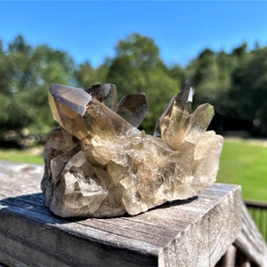Statement Smoky Citrine Quartz Cluster ~ Smokey Citrine Quartz Cluster ~ Citrine Quartz Cluster ~ Quartz Specimen  ~ Rock Collector