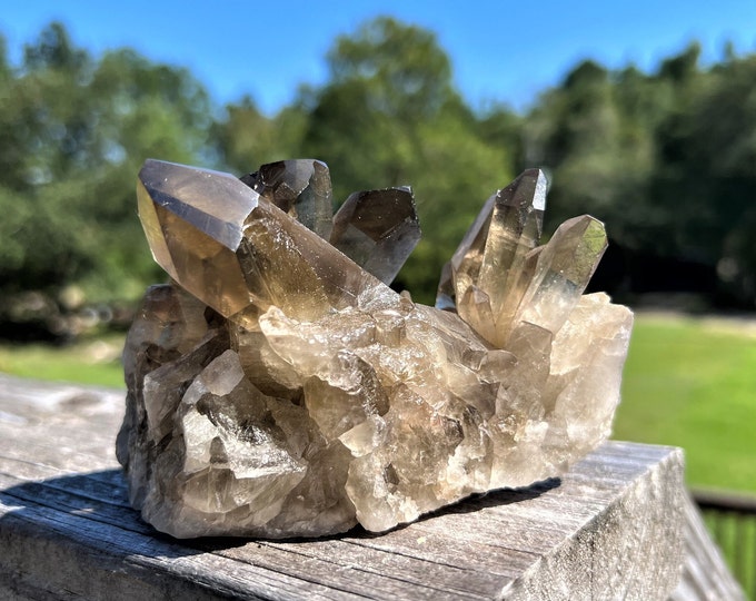 Statement Smoky Citrine Quartz Cluster