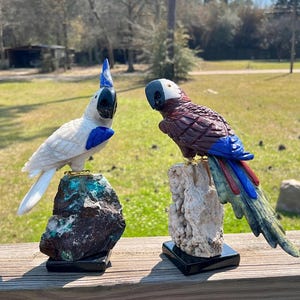 Crystal Parrot Carving ~  Hand Carved Cockatoo Parrot ~ Gemstone Parrot ~ Decor ~ Parrot Figurine ~ Gift ~    House Warming Gift