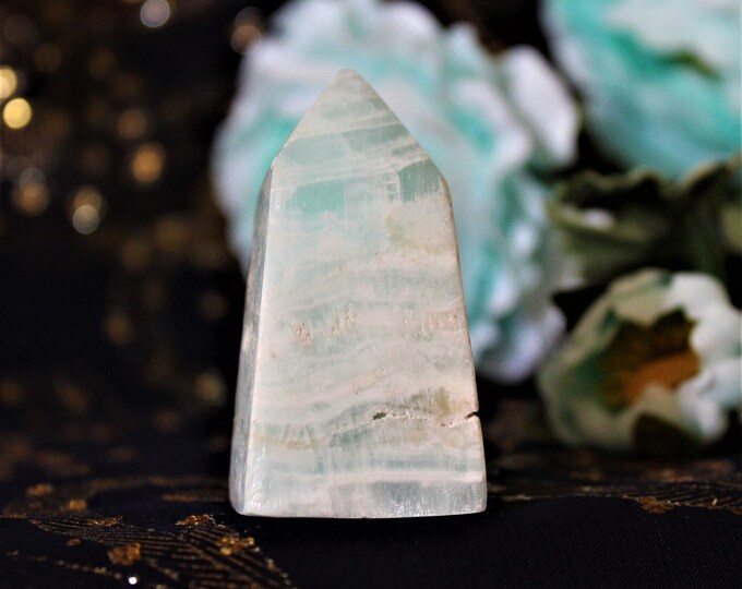 Caribbean Calcite Generator