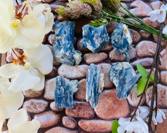 Rare Blue Kyanite Specimen ~ Stone of Truth and Balance ~ Kyanite Chunk ~Raw Blue Kyanite ~ Rare Find ~ Crystal ~ Rock Collector ~ Healing