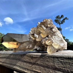 Statement Smoky Citrine Quartz Cluster ~ Smokey Citrine Quartz Cluster ~ Citrine Quartz Cluster ~ Quartz Specimen  ~ Rock Collector