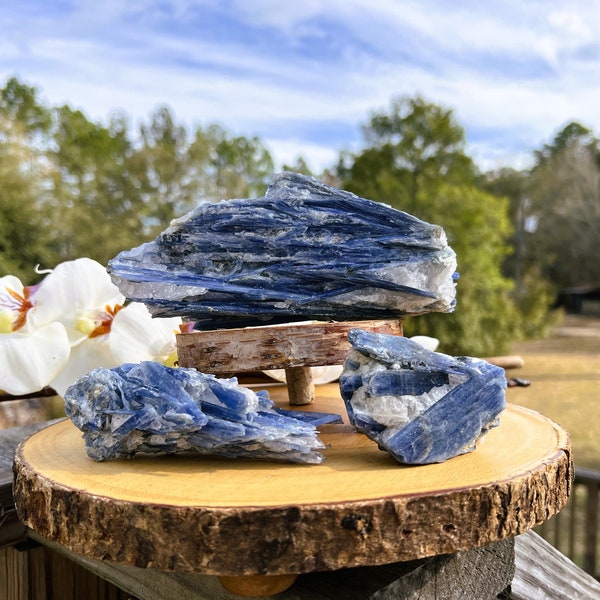 Rare Blue Kyanite Chunk ~ Stone of Truth and Balance ~Kyanite Specimen ~ Raw Blue Kyanite ~ Rare Find ~ Crystal ~ Rock Collector ~ Healing