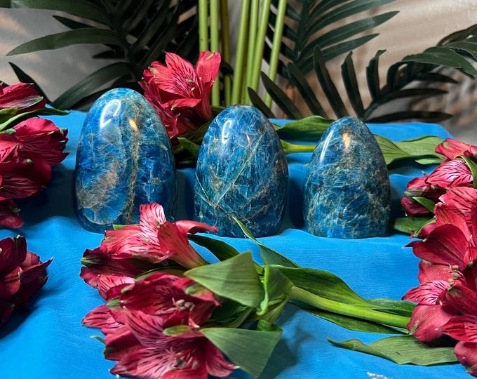Blue Apatite Free Form Standing ~ Stone Of Manifestation