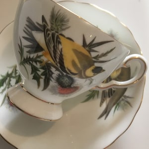 Vintage Bird Goldfinch Royal Tuscan Teacup Audubon Birds/ Bone China England