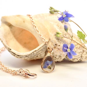 Puede incluir: Un delicado collar de oro con un colgante en forma de l&aacute;grima que presenta una flor azul prensada. El collar se muestra en una concha de mar con flores azules.