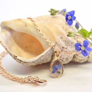 Puede incluir: Un delicado collar de oro con un colgante en forma de l&aacute;grima que presenta una flor azul prensada. El collar se muestra en una concha de mar con una ramita de flores azules.