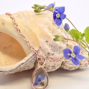 Puede incluir: Un delicado collar de oro rosa con un colgante en forma de l&aacute;grima que presenta una flor azul prensada. El collar se muestra en una concha de mar con una flor azul.