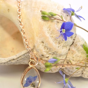 Puede incluir: Un delicado collar de cadena dorada con un colgante en forma de l&aacute;grima que presenta una flor azul prensada encapsulada en resina transparente. El collar se muestra en una concha de mar con flores azules.