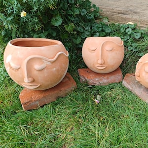 Outdoor planters with face terracotta frost-resistant