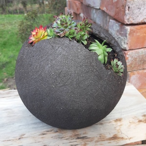 Peut inclure: Un pot sphérique noir avec une fissure sur le côté, rempli de succulentes vertes. Le pot est posé sur une surface en bois.
