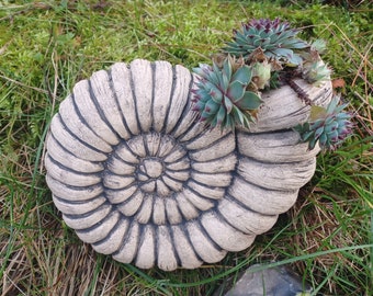 Ammonite ceramic planter for succulents, 22 x 17 x 7.5 cm