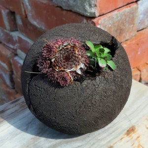 May include: A dark gray, textured, spherical planter with a crack on the side. The planter is filled with a variety of succulents, including a cluster of pink and green rosettes and a smaller cluster of green rosettes.