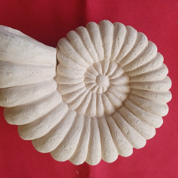 Ammonite for planting with succulents ceramic 22 x 17 x 7.5 cm in size