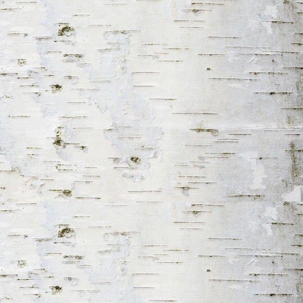 Birch Bark Fabric