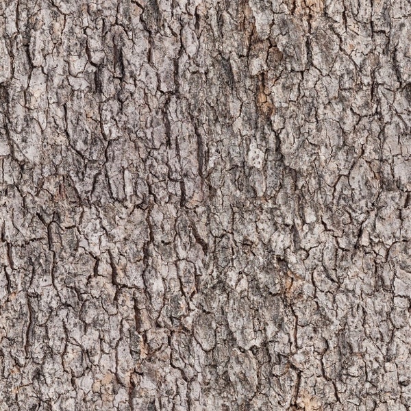 Tree Bark Fabric