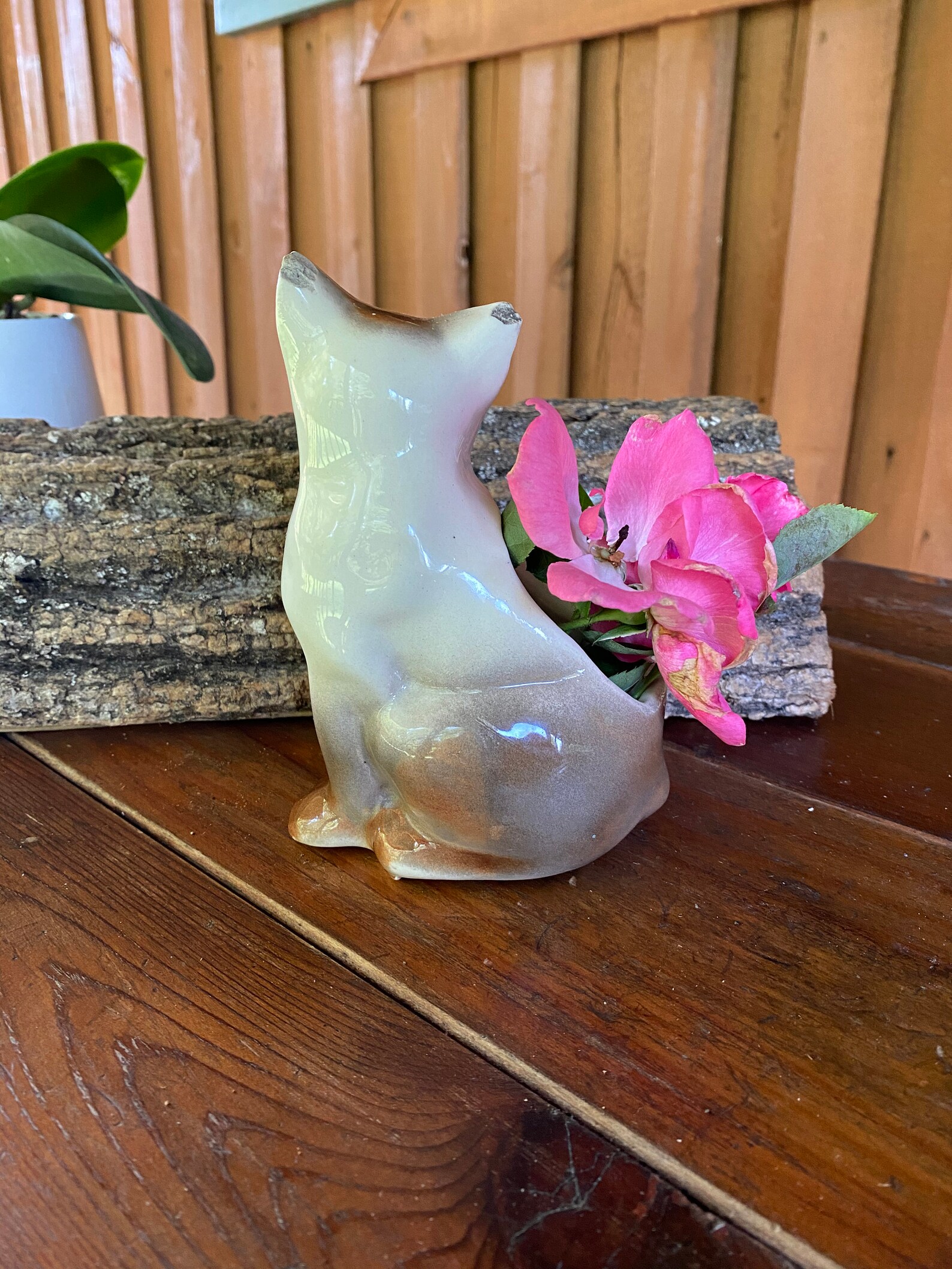 Vintage Ceramic Cat Vase/brown and White Cat Holder/succulent Etsy