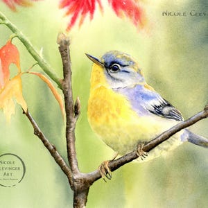 Warbler Digital Download,  Warbler Art Print, Bird Watercolor,  Bird Lover Gift, Yellow Rumped Warbler Painting, Bird Wall Art, Animal Print