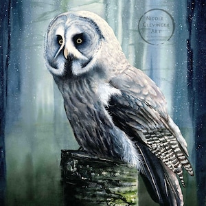 Könnte beinhalten: Aquarellmalerei einer Bartkauz, der auf einem Baumstumpf sitzt. Die Eule hat graue und weiße Federn, gelbe Augen und eine markante Gesichtsscheibe. Der Hintergrund zeigt einen Wald mit Schneeeffekt. Das Kunstwerk ist von Nicole Clevinger Art signiert.