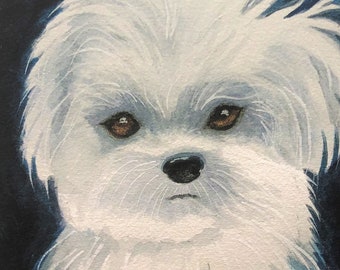 May include: A watercolor painting of a white Maltese dog with a fluffy coat. The dog has brown eyes and a black nose. The background is a dark blue.