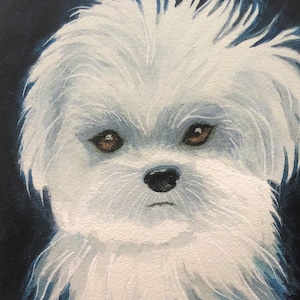 MALTESE PUPPY ART,  Original Watercolor Painting, or Giclee Print.  Gift for Maltese Lover