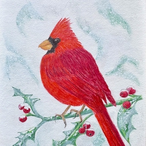 ORIGINAL BIRD ART, Northern Cardinal, Original Colored Pencil Drawing -Or- Archival Giclee Print