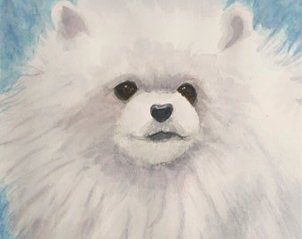 WHITE POMERANIAN ART, Original Watercolor -or- Giclee Art Print, Gift for Pomeranian Lover
