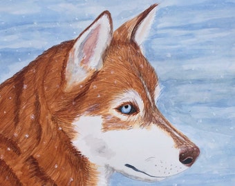 May include: Watercolor painting of a red and white husky dog with blue eyes, looking to the right, with a light blue background with white dots, and the artist's signature "J. Thompson" in the bottom right corner.