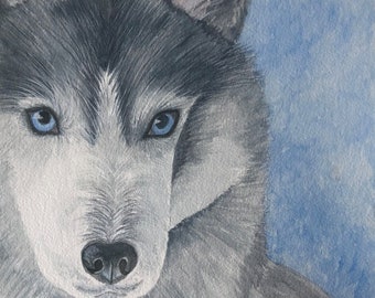 SIBERIAN HUSKY ART, Original Watercolor Art -or- Giclee Art Print, Gift for Husky Lover