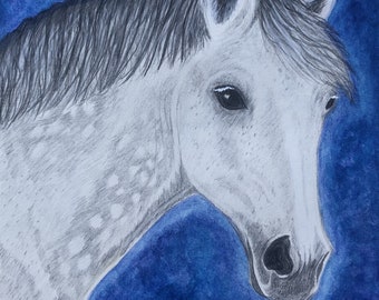DAPPLE GREY HORSE, Giclee Art Print, Horse Art, Equine Art, Gift for Horse Lover