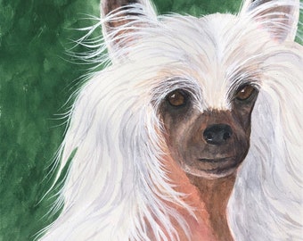 CHINESE CRESTED DOG Art, Original Watercolor Painting --Or--Giclee Print, Gift for Crested Lover