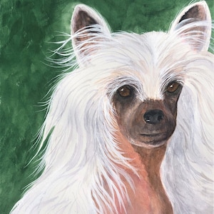 CHINESE KUIF HOND Kunst, Originele Aquarel schilderij --Of--Giclee Print, Cadeau voor Crested Lover